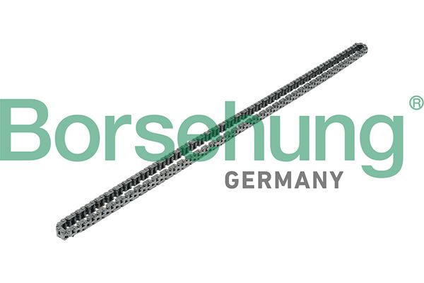 Timing Chain Borsehung B17908