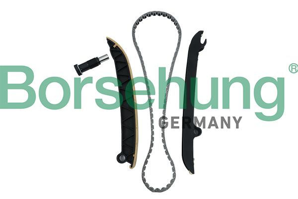 Комплект ланцюгів привода Borsehung B18296