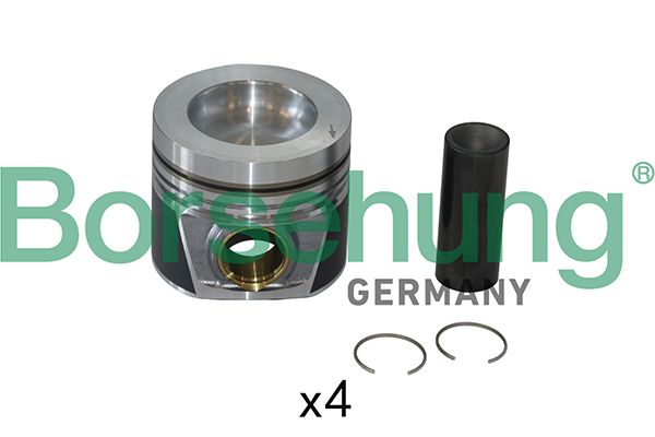 Piston Ring Kit Borsehung B19302