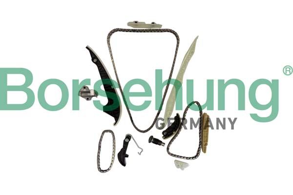 Timing Chain Kit Borsehung B10252