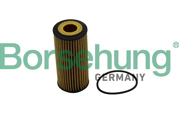 Oil Filter Borsehung B10511