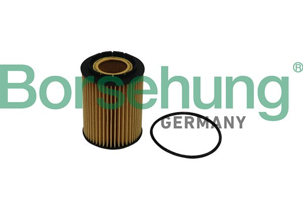 Oil Filter Borsehung B10516