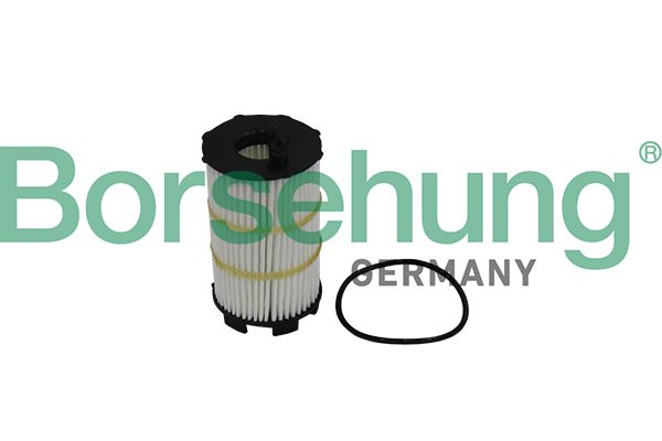 Oil Filter Borsehung B10517