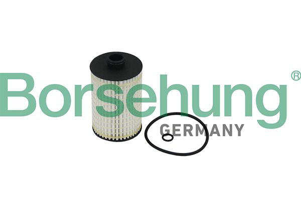 Oil Filter Borsehung B10519