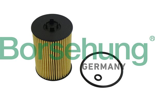 Oil Filter Borsehung B10532