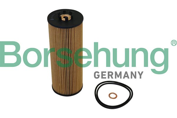 Oil Filter Borsehung B10544