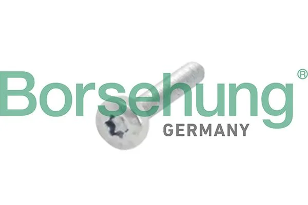 Screw, camshaft gear Borsehung B10634