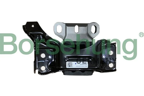 Variklio montavimas Borsehung B10987