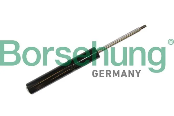 Amortizatorius Borsehung B11182