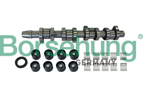 567 Borsehung B11307