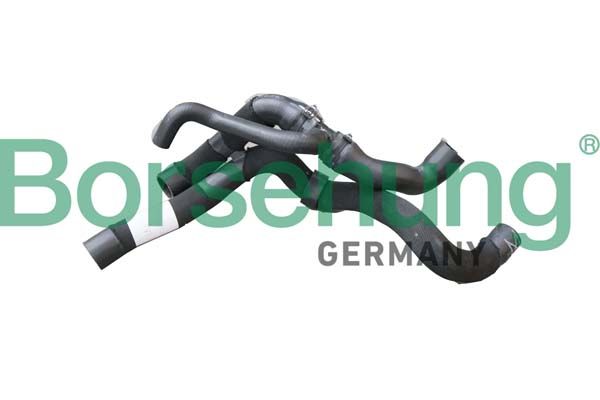 Radiator Hose Borsehung B11974