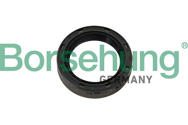 Shaft Seal, clutch release bearing shaft Borsehung B12192