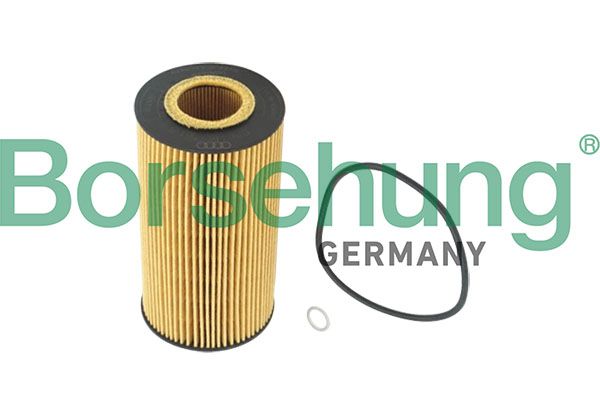 Oil Filter Borsehung B12220