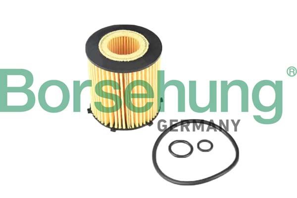 Oil Filter Borsehung B12405