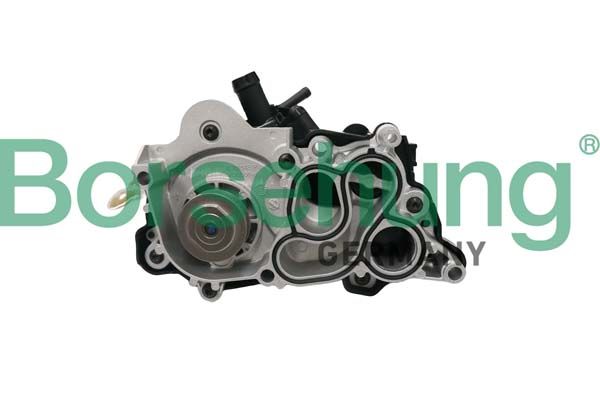 Water Pump, engine cooling Borsehung B12692