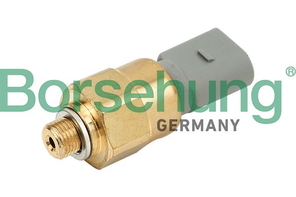 Oil Pressure Switch Borsehung B13135