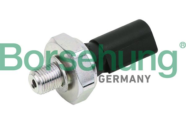 Oil Pressure Switch Borsehung B13138