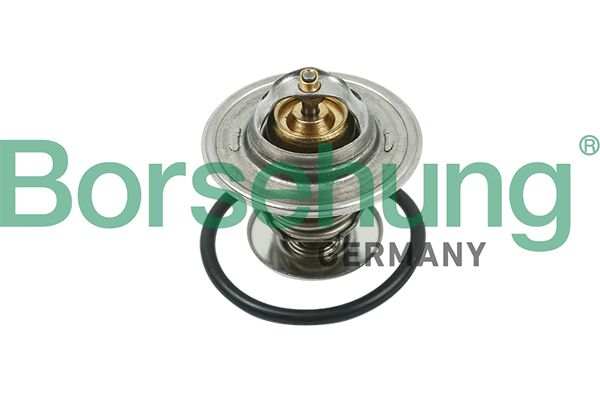 Thermostat, coolant Borsehung B13141