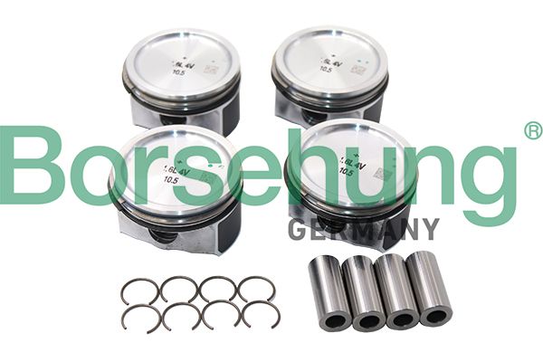 Piston Ring Kit Borsehung B13576