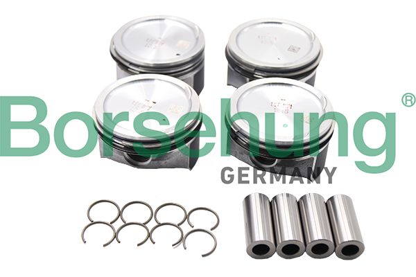 Piston Ring Kit Borsehung B13577