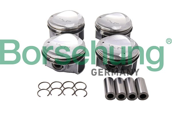 Piston Ring Kit Borsehung B13584