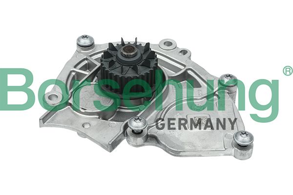 Water Pump, engine cooling Borsehung B15313