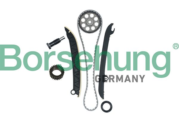 Timing Chain Kit Borsehung B16297