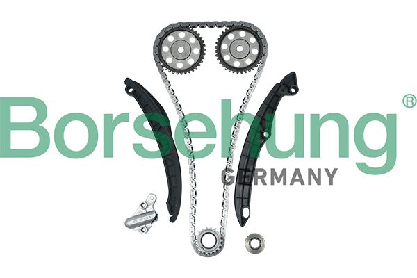 Timing Chain Kit Borsehung B16300