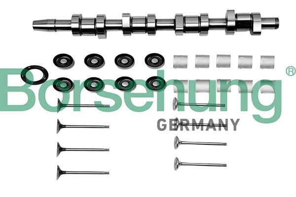 Ремонтний комплект, проміжний вал Borsehung B17129