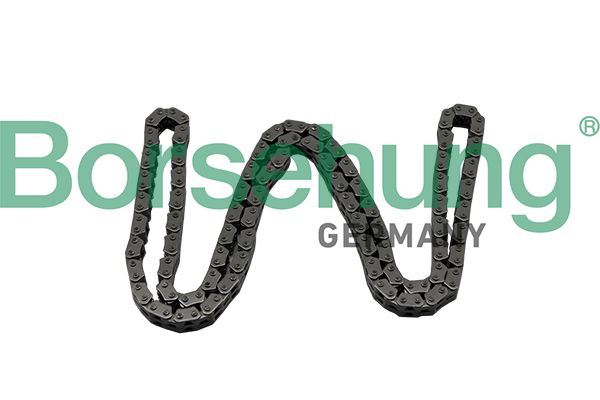 Timing Chain Borsehung B17886