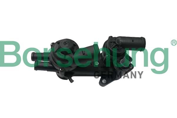 Thermostat, coolant Borsehung B18249