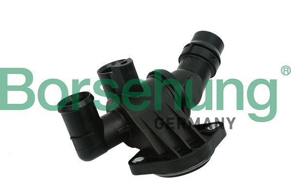 Thermostat, coolant Borsehung B18688