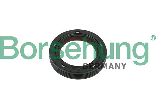 Shaft Seal, camshaft Borsehung B18729