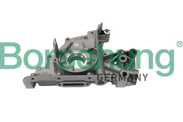 Alyvos siurblys Borsehung B18759