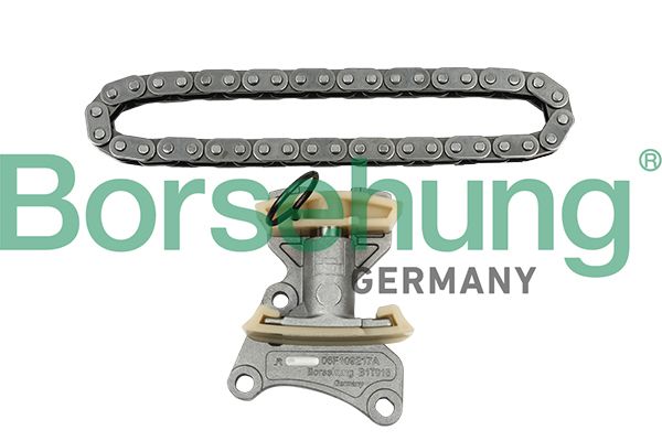 Timing Chain Kit Borsehung B18847