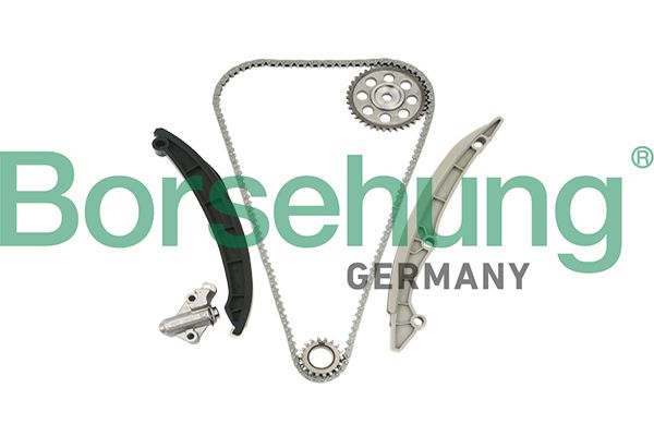 Комплект ланцюгів привода Borsehung B18960