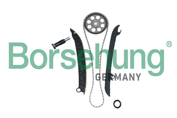 Timing Chain Kit Borsehung B18977