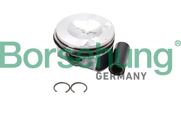 Stūmoklis borsehung B18993