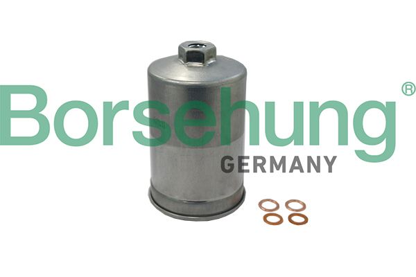 Fuel Filter Borsehung B19091