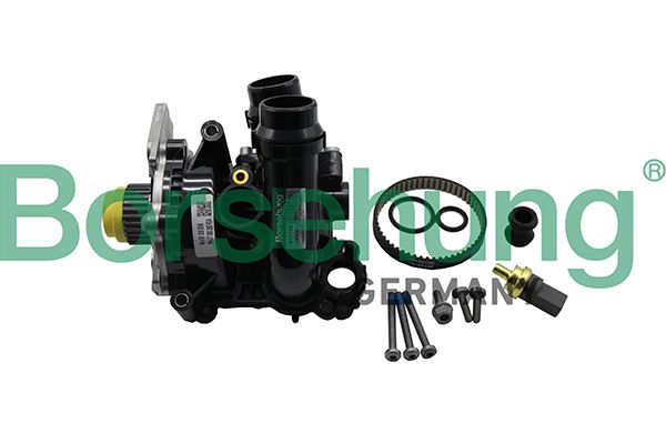 Repair Kit, water pump Borsehung B19130