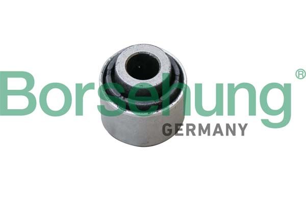 Mounting, control/trailing arm Borsehung B19166