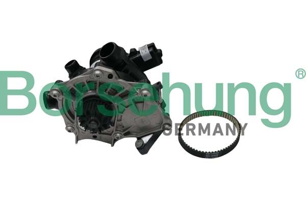 Water Pump, engine cooling Borsehung B19205