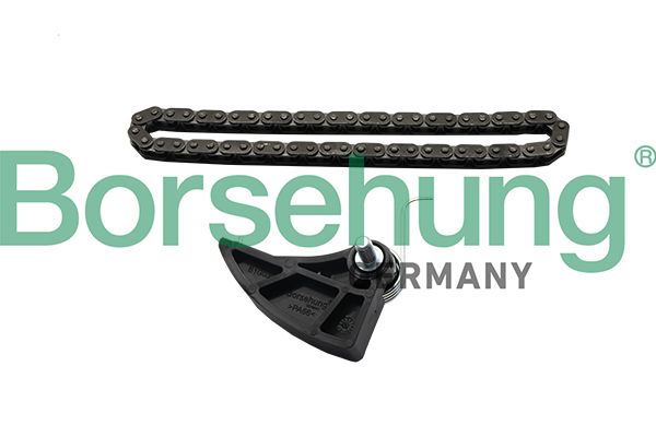 Timing Chain Kit Borsehung B19287