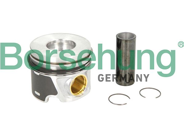 Piston Ring Kit Borsehung B19300