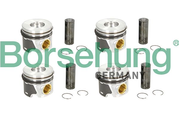 Piston Ring Kit Borsehung B19303