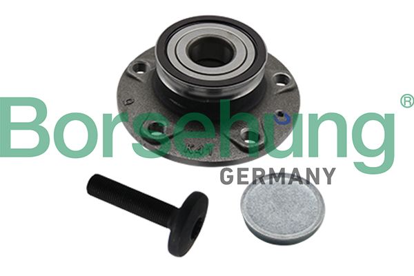 Wheel Bearing Kit Borsehung B19310