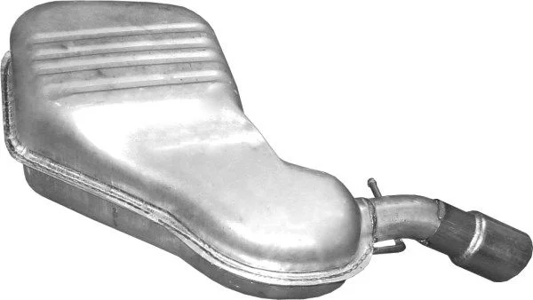 Galinis duslintuvas POLMO 31.260