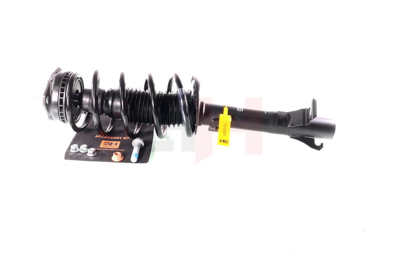 Suspension Strut GH GH-352554C01