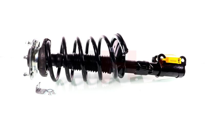 Suspension Strut GH GH-354811C01