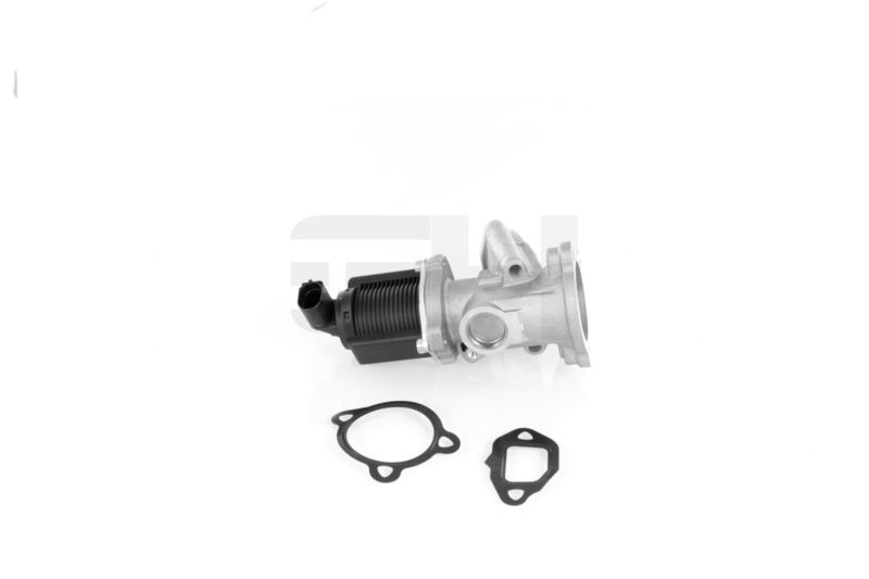 EGR Valve GH GH-732344